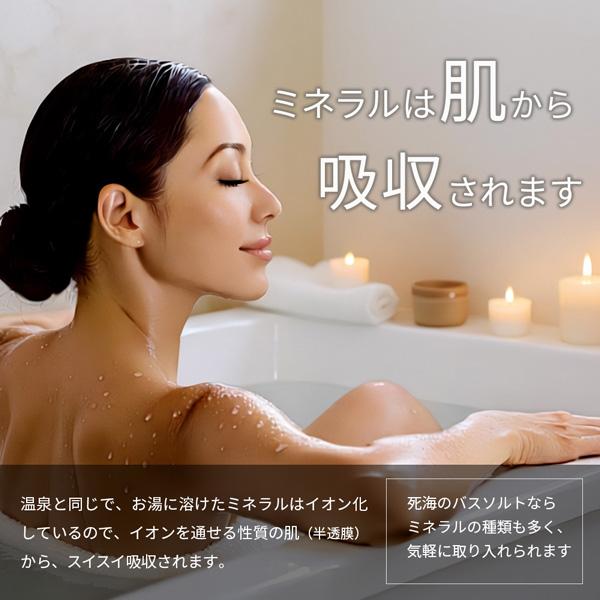 デッドシーバスソルト プレーン 410g