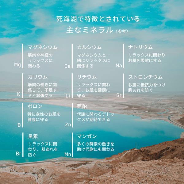 デッドシーバスソルト プレーン 410g